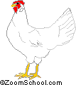 leghorn chicken